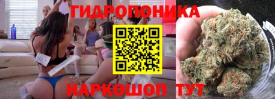 ГАЛЛЮЦИНОГЕННЫЕ ГРИБЫ Аргун