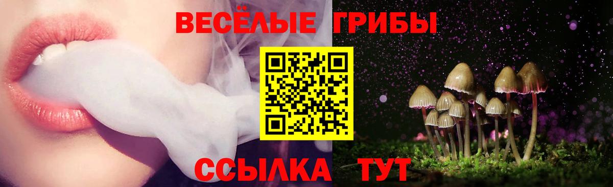Богородск  Галлюциногенные грибы MAGIC MUSHROOMS  закладки  Вход с VPN  Псилоцибиновые грибы GOLDEN TEACHER 